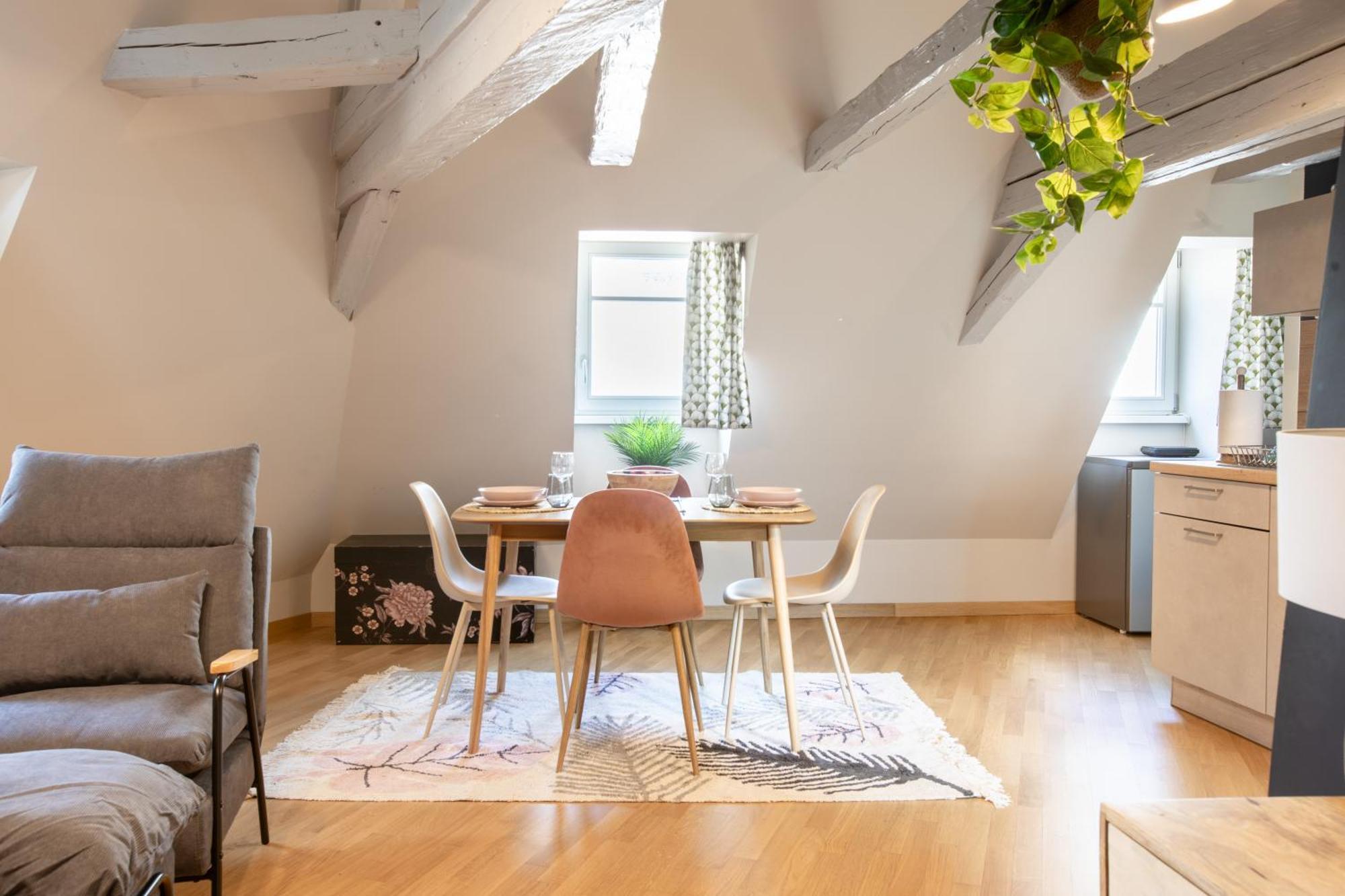 Duplex Atypique Au Coeur De Mulhouseアパートメント エクステリア 写真